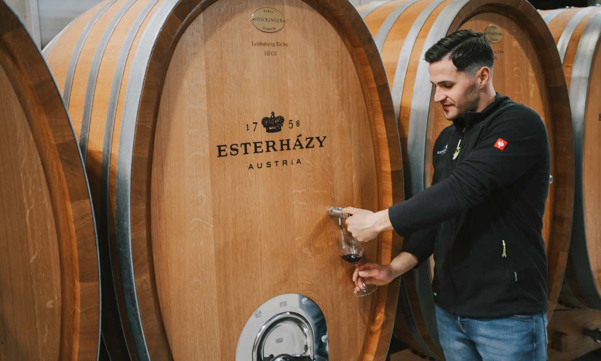 Weingut Esterházy