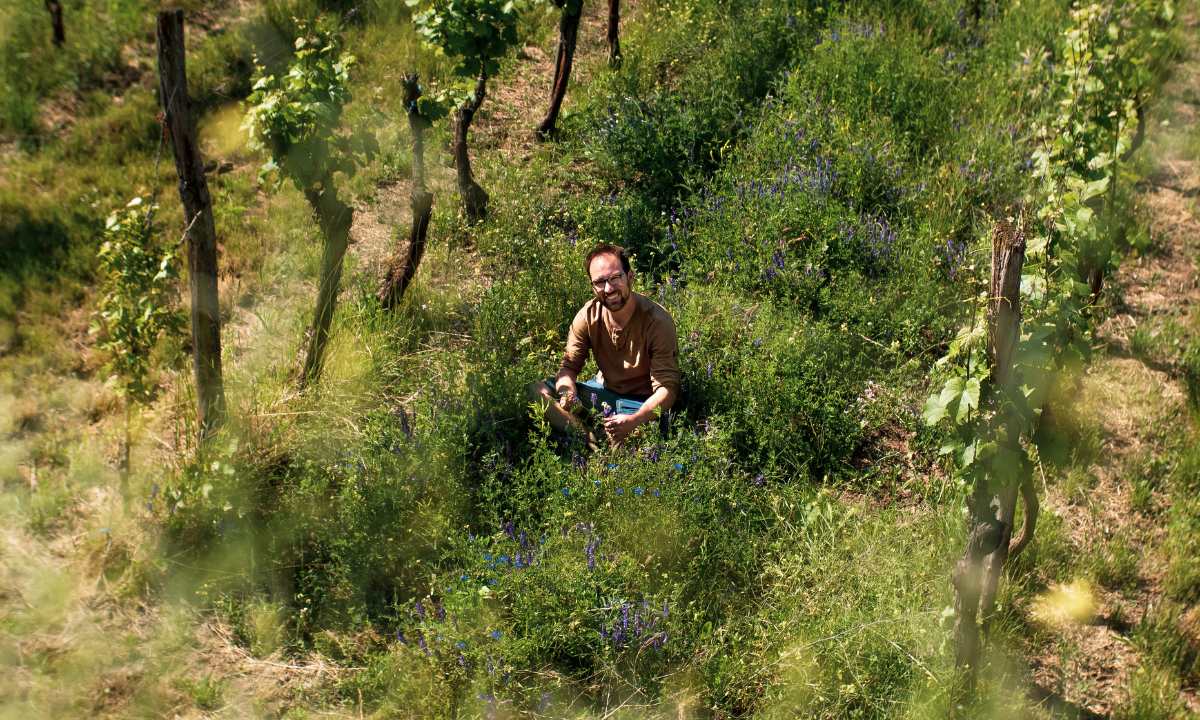 Bioweingut Viktor Fischer