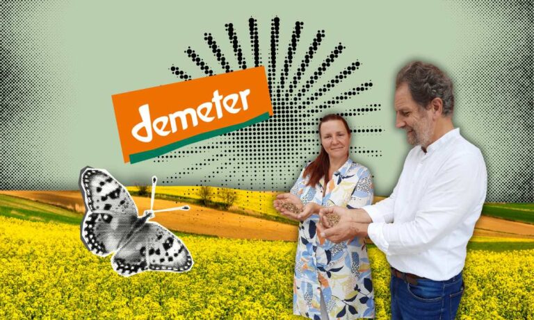Demeter Reverbulator Demeter: Mehr als Bio – oder doch nur anders?
