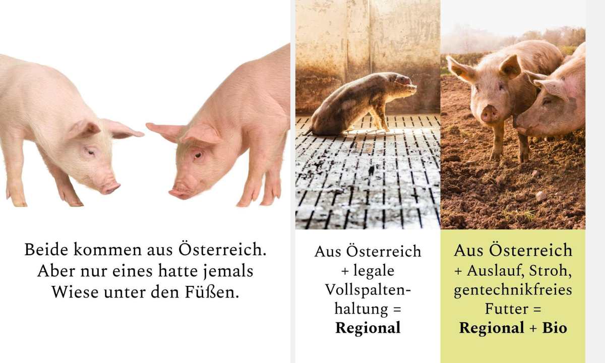 Bitte regional + bio