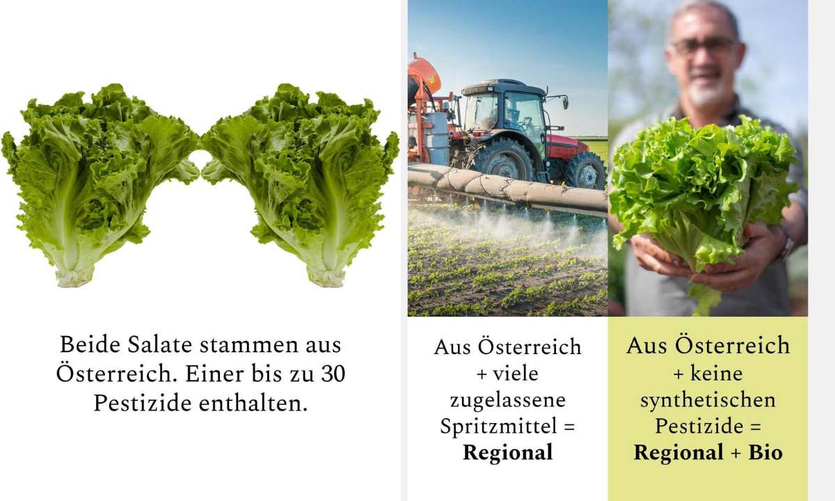 Bitte regional + bio