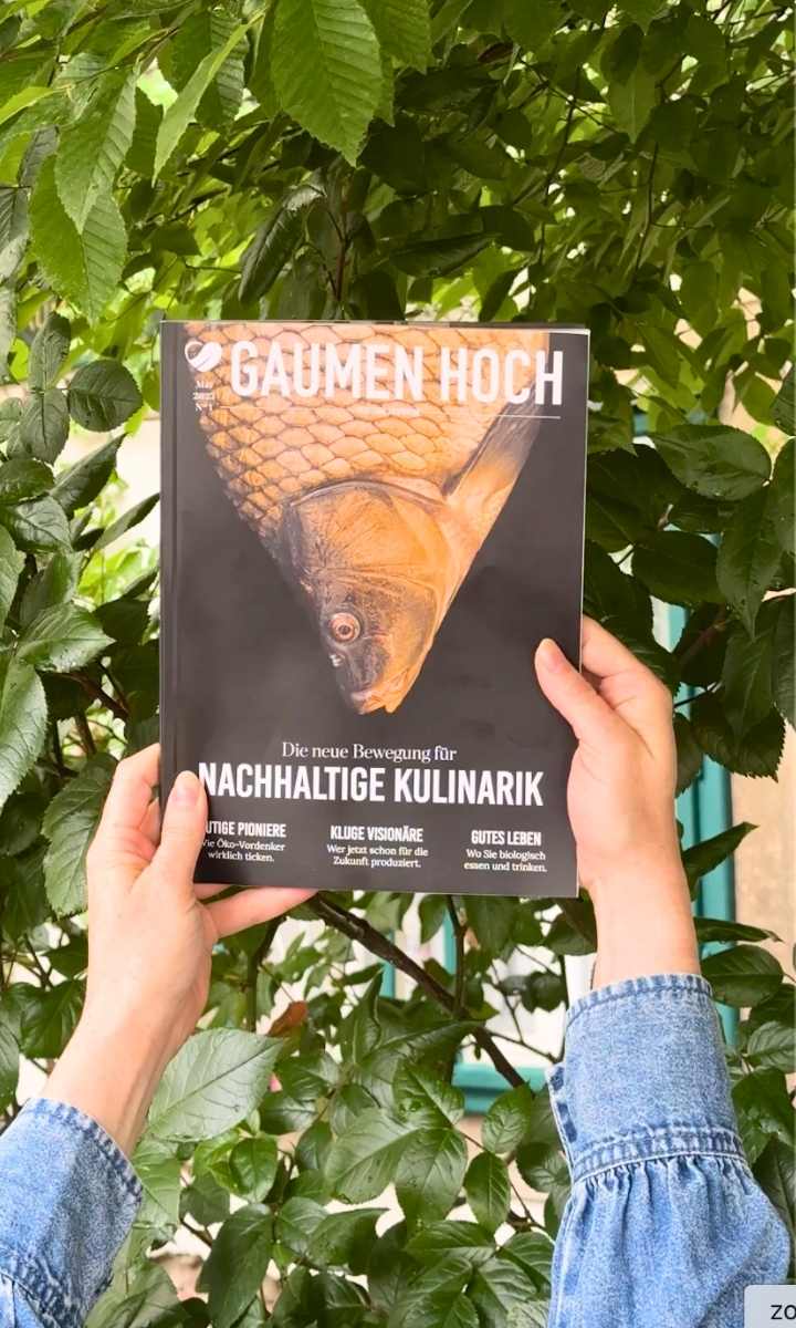 Gaumen Hoch Printmagazin 01/25