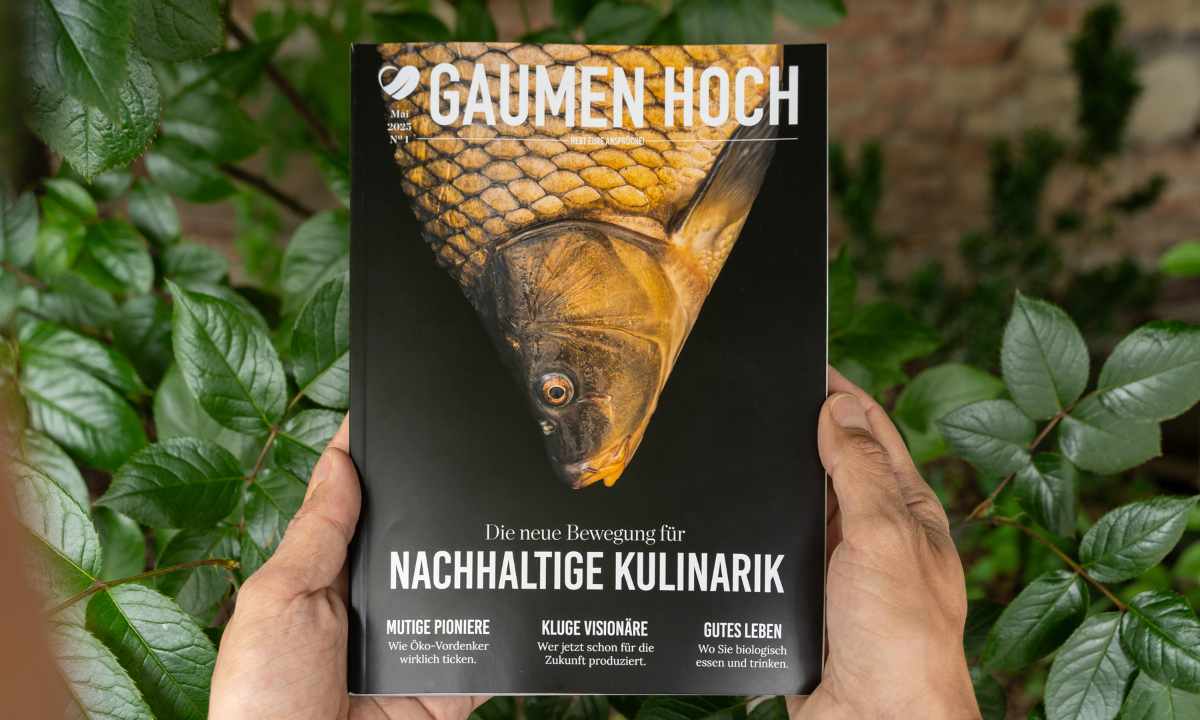 Gaumen Hoch Printmagazin 01/25