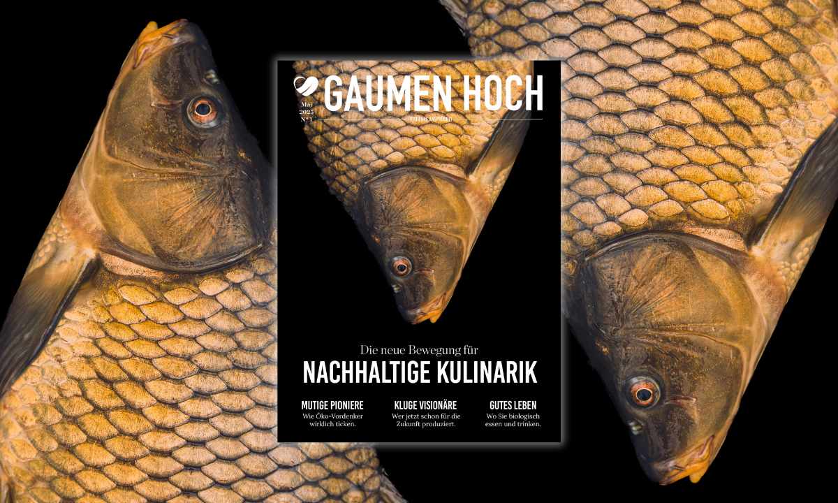 Gaumen Hoch Printmagazin 01/25