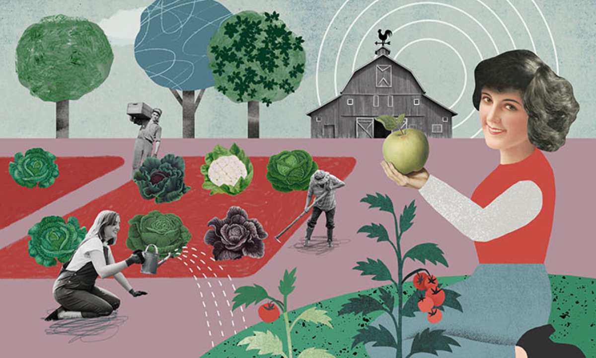 Illustration Eva Milnar