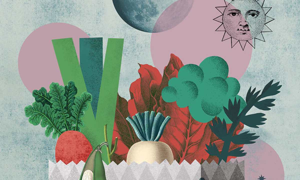 Illustration Eva Milnar