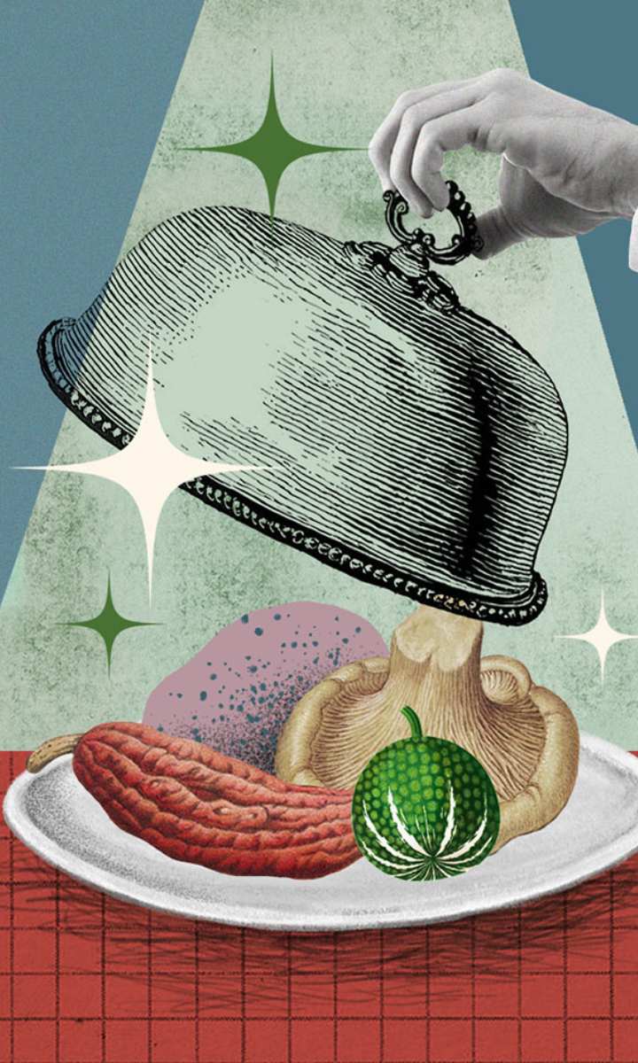 Illustration Eva Milnar