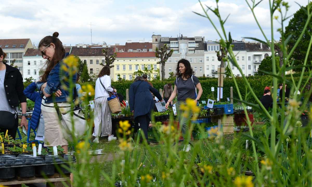 Jungpflanzenmarkt City Farm Augarten
