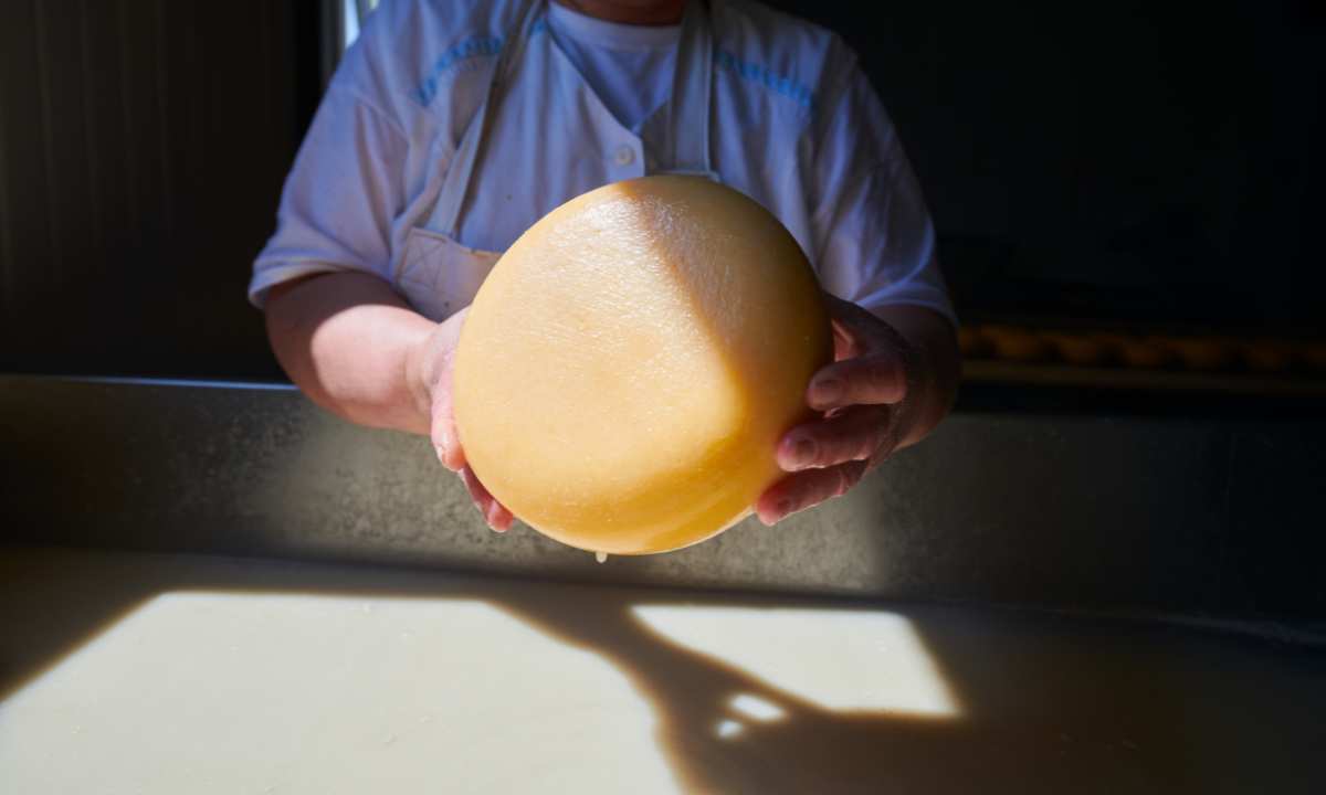 Rohmilchkäse