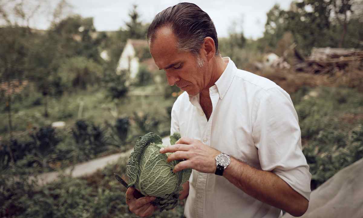 Martin Grassberger