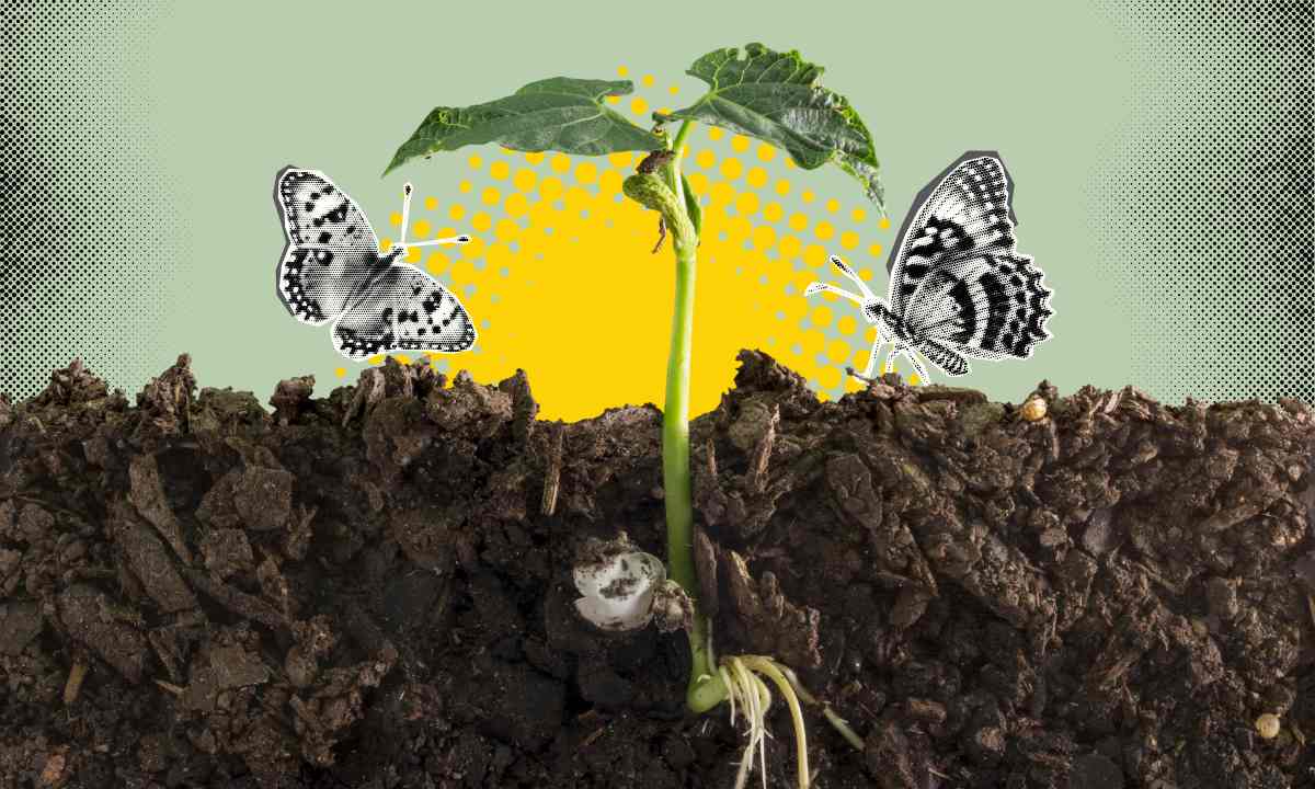 Regenerative Landwirtschaft