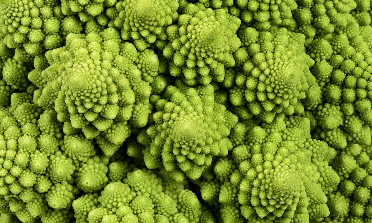 Romanesco
