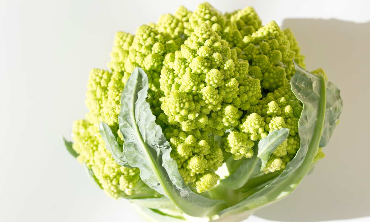 Romanesco