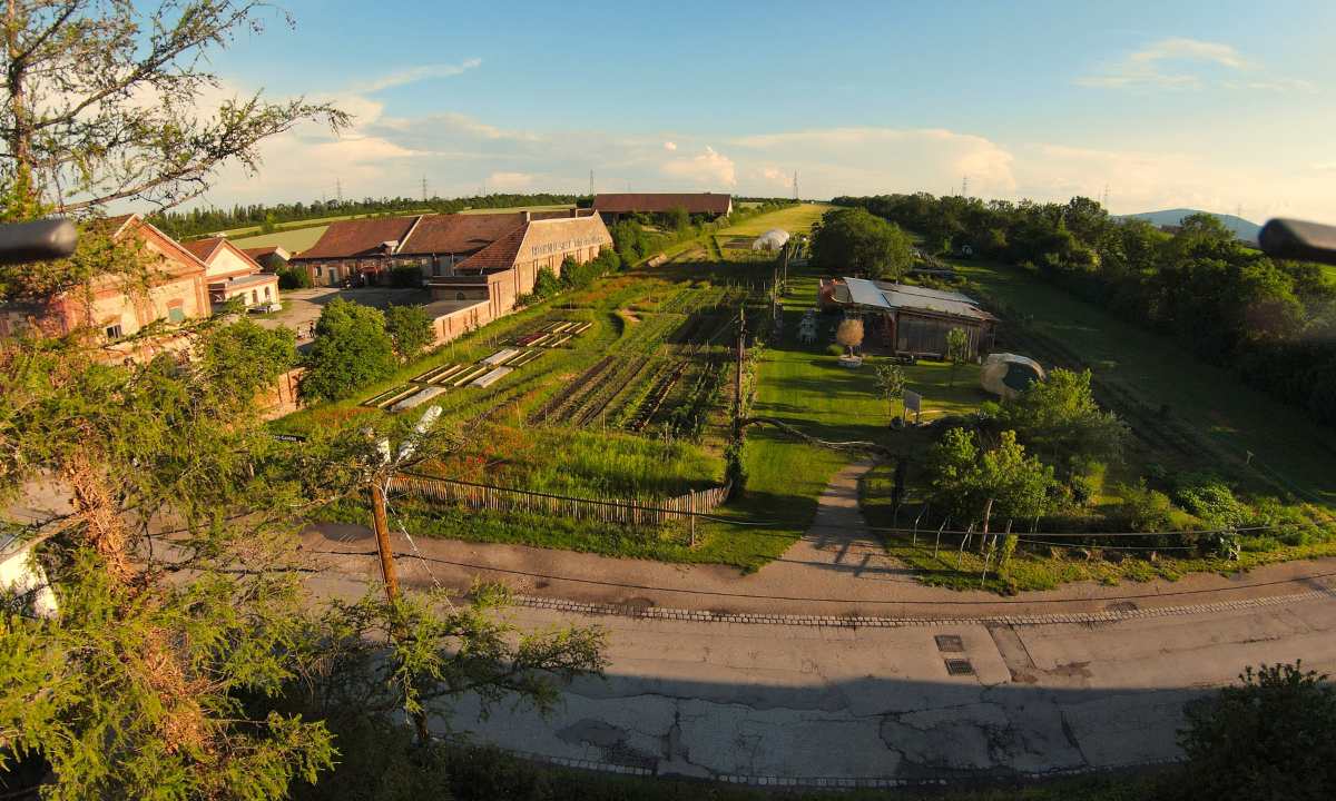 Marktgärtnerei & Gemüsekistl Andreas Gugumuck