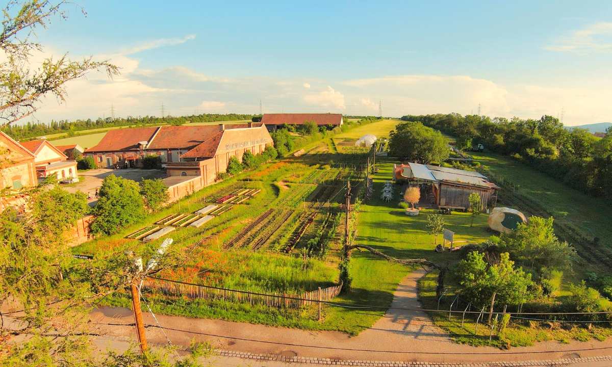 Marktgärtnerei & Gemüsekistl Andreas Gugumuck