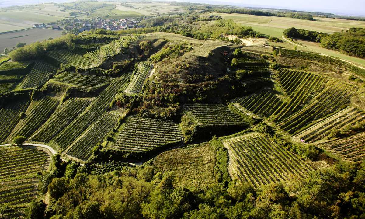 Weingut Josef Hummel