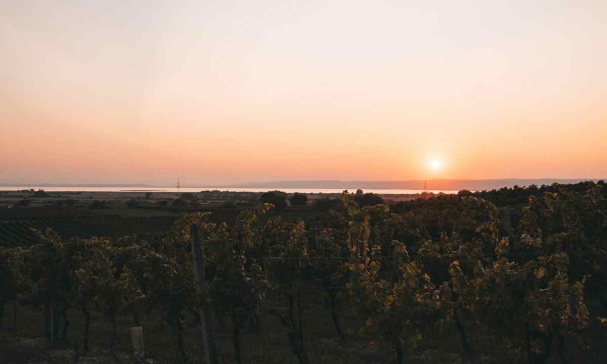 BioWeinGut Lehner