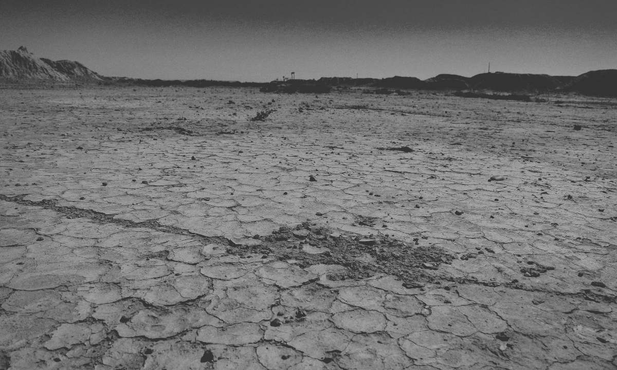 Steppe