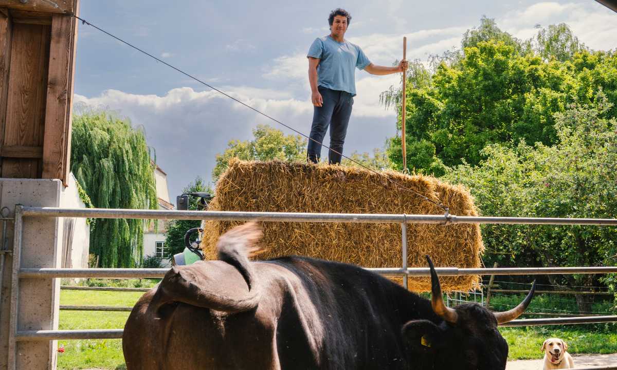 Gaumen Hoch-Tellerrandschau mit Kias Kitchen und finkundgut