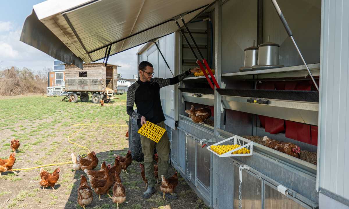 Gaumen Hoch-Tellerrandschau mit dem Cafe Außergewöhnlich und dem Biohof Maurer