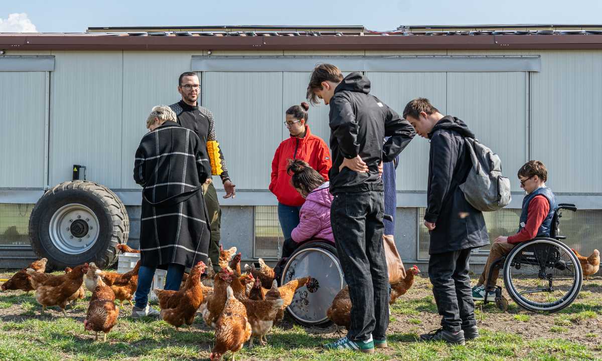 Gaumen Hoch-Tellerrandschau mit dem Cafe Außergewöhnlich und dem Biohof Maurer