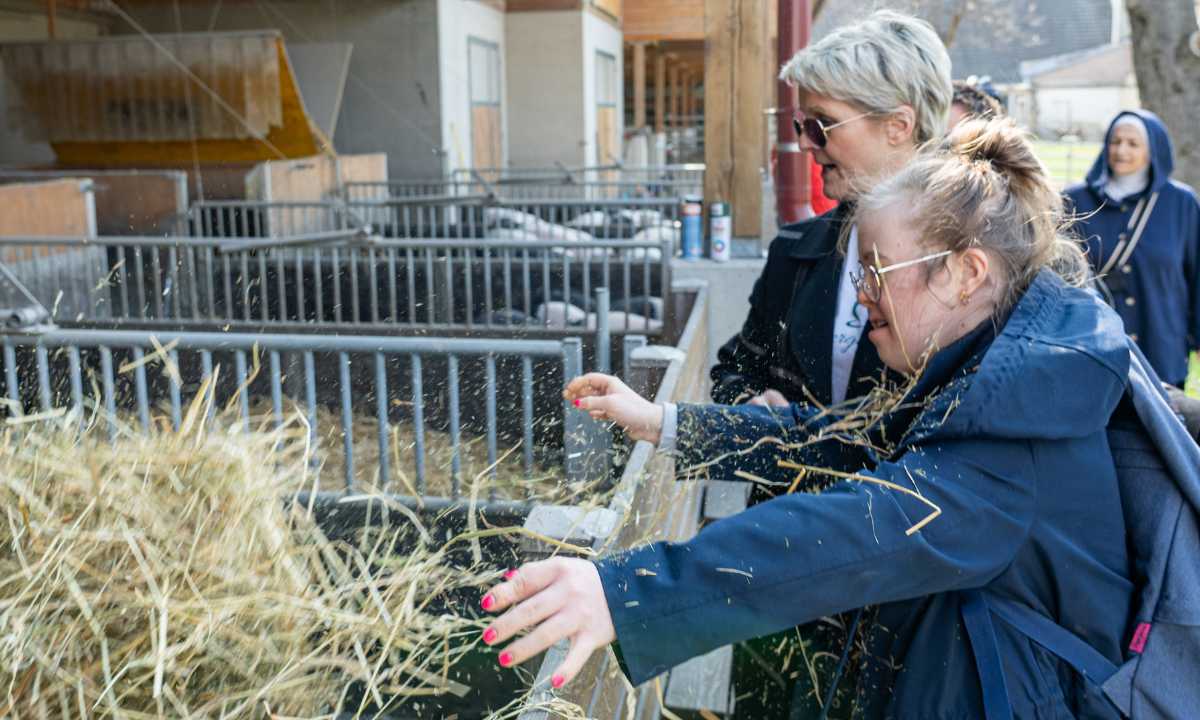 Gaumen Hoch-Tellerrandschau mit dem Cafe Außergewöhnlich und dem Biohof Maurer
