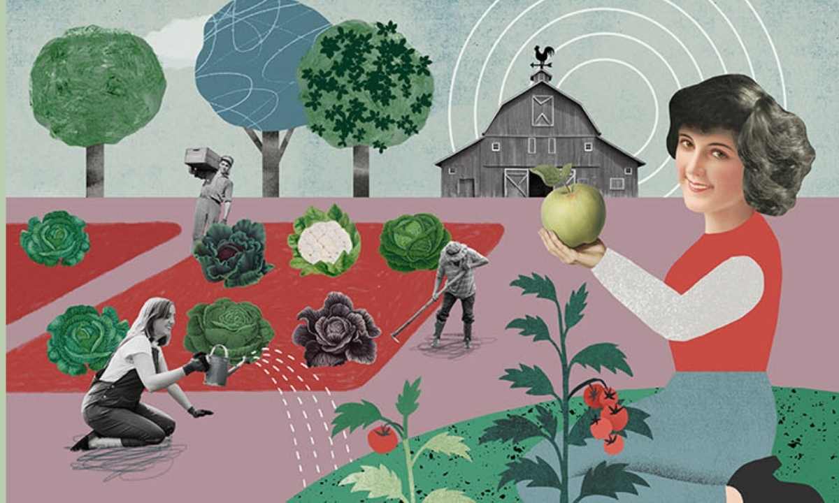 Gaumen Hoch Illustration