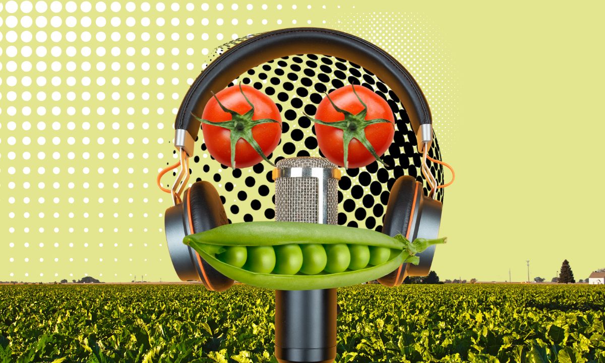 Podcast Ernährung