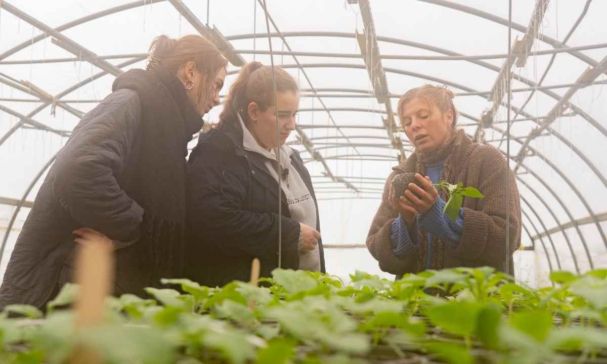 Gaumen Hoch-Tellerrandschau mit Rosa& Marie und Dirndln am Feld
