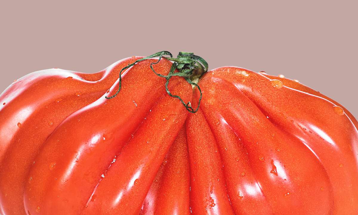 Rezepte mit Tomaten