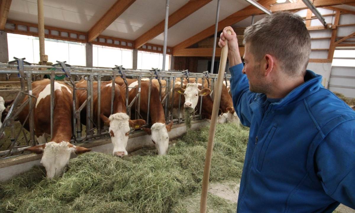 Biokäserei Walchsee im Kaiserwinkl