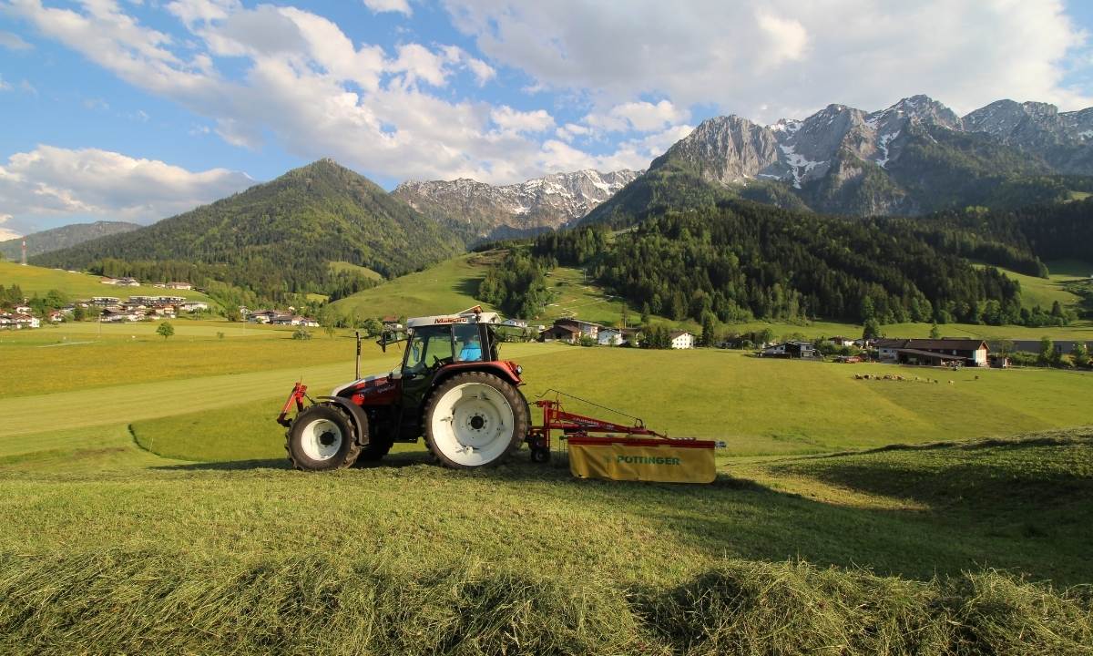 Biokäserei Walchsee im Kaiserwinkl