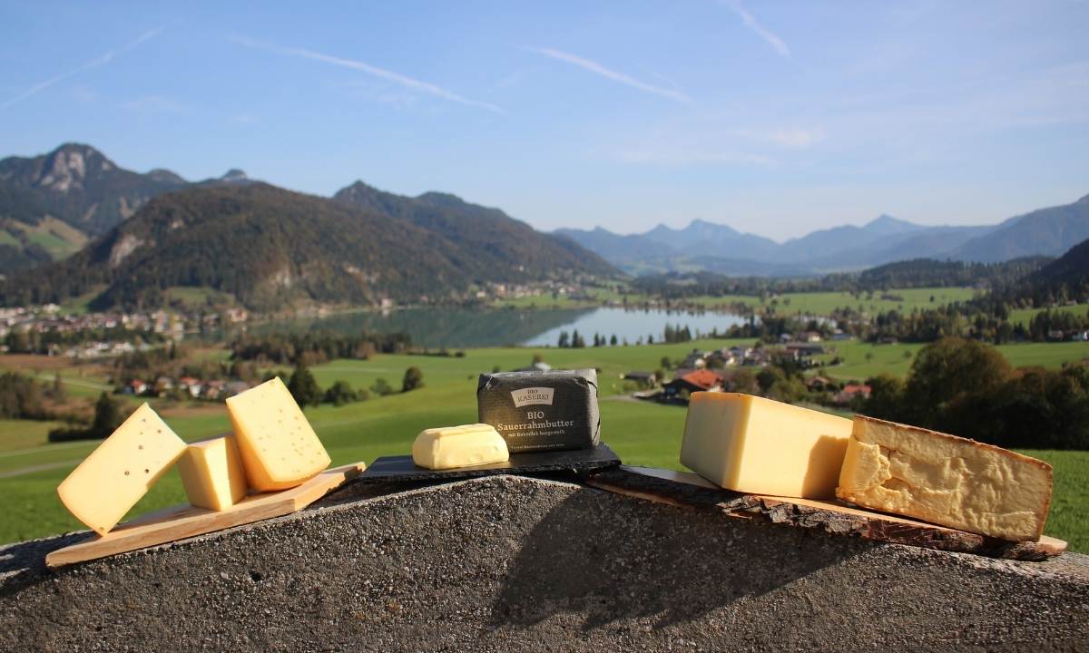 Biokäserei Walchsee im Kaiserwinkl