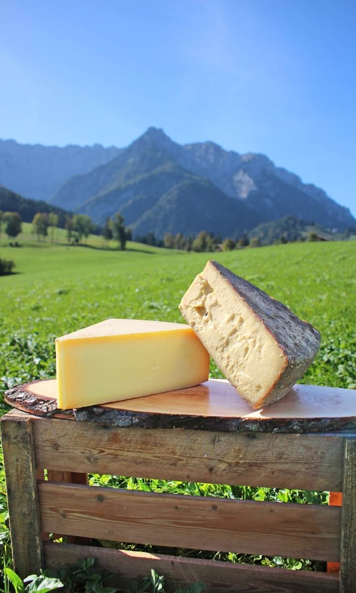 Biokäserei Walchsee im Kaiserwinkl