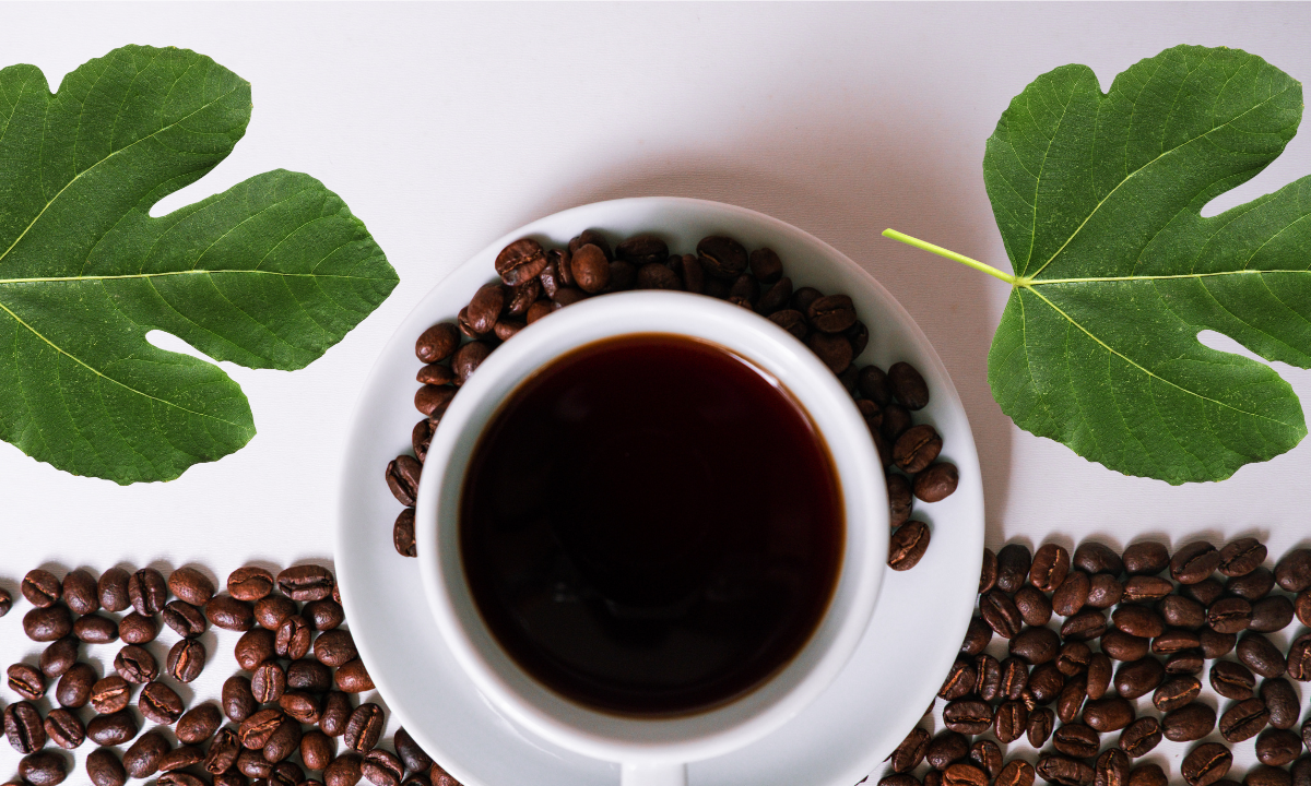 Feigenblatt-im-Kaffee