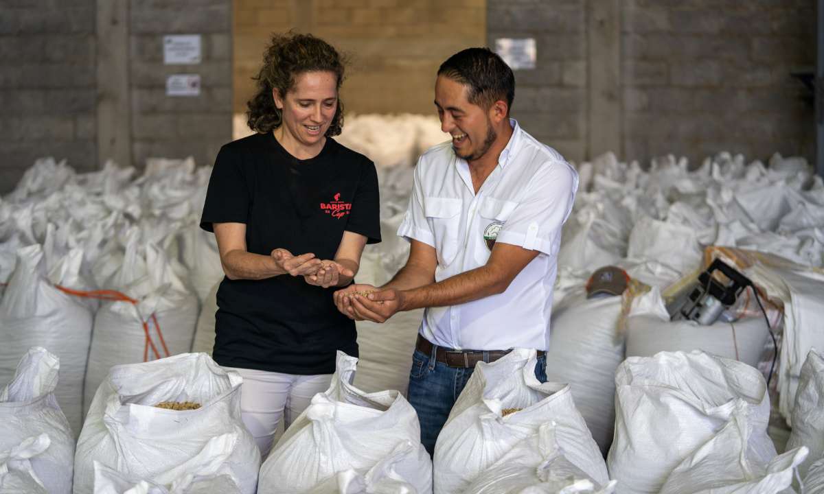 Julius Meinl Honduras