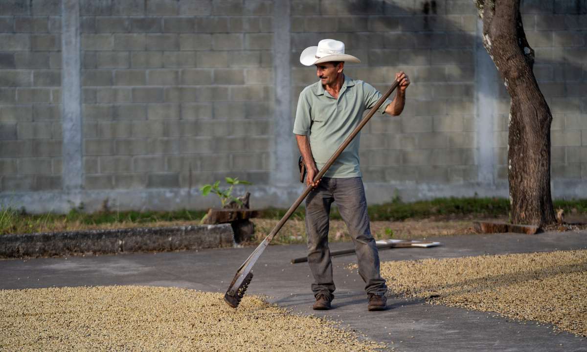 Julius Meinl Honduras