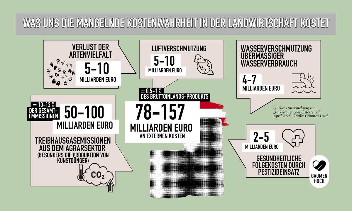 Was uns mangelnde Kostenwahrheit in der Landwirtschaft kostet