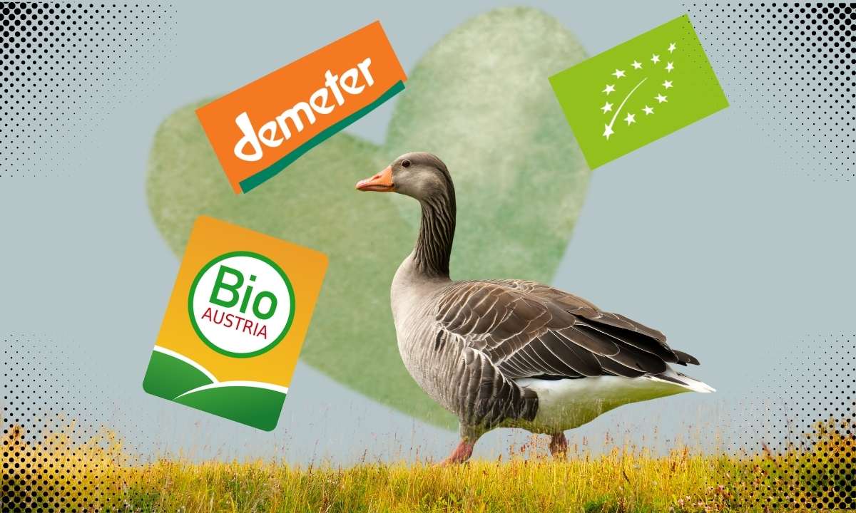 Bio-Gansl