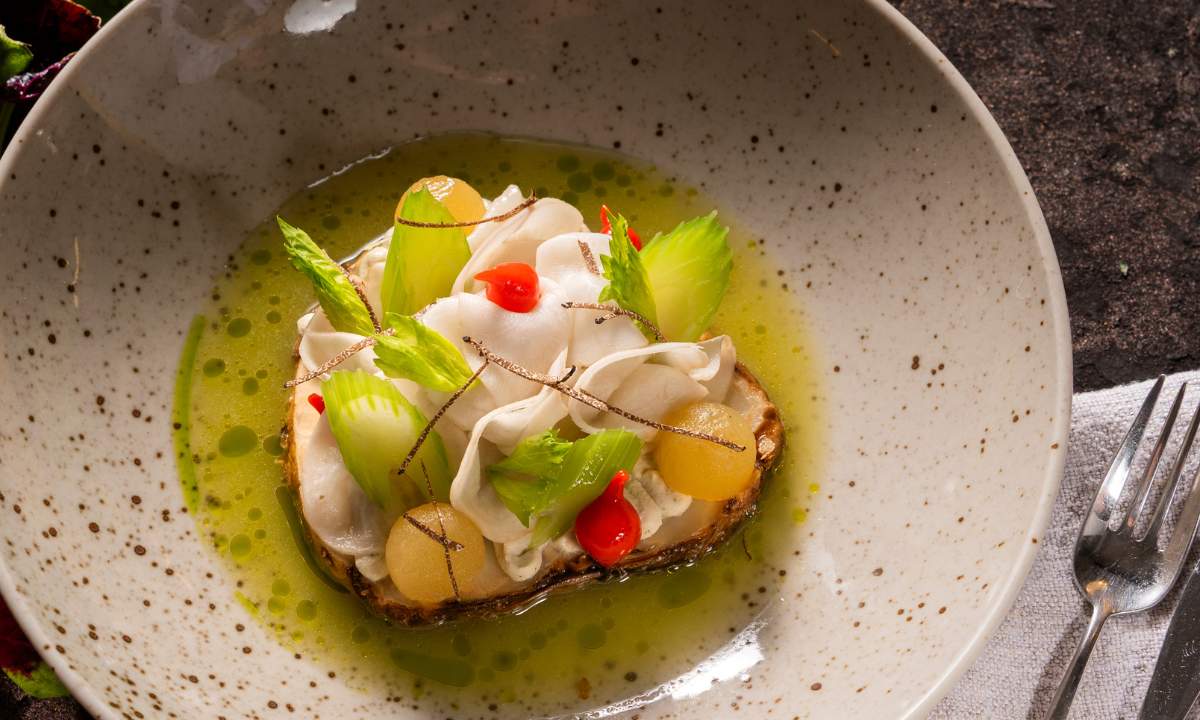 Geschmorter Sellerie mit Frischkäsecreme in Apfel-Sellerie-Sud