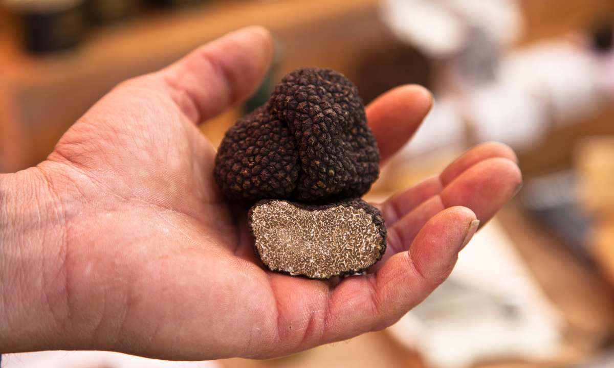 Trüffel