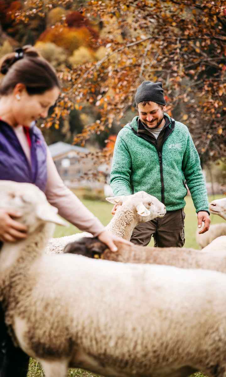 Bio Wollmilch Montafon
