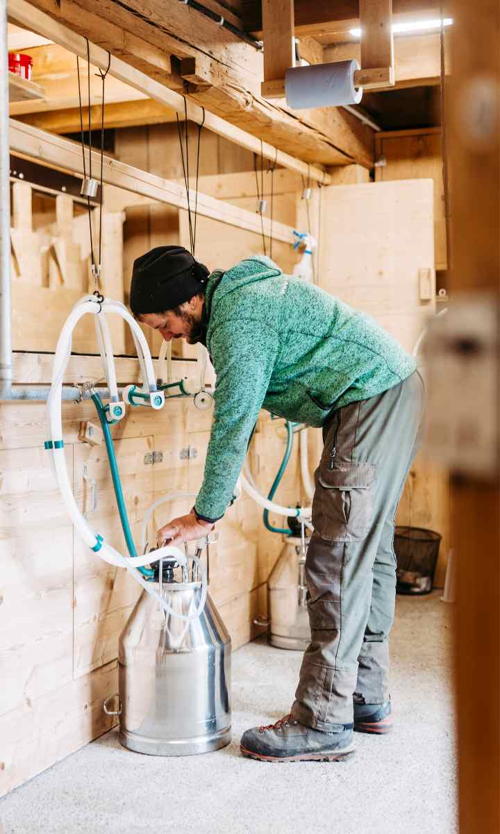 Bio Wollmilch Montafon