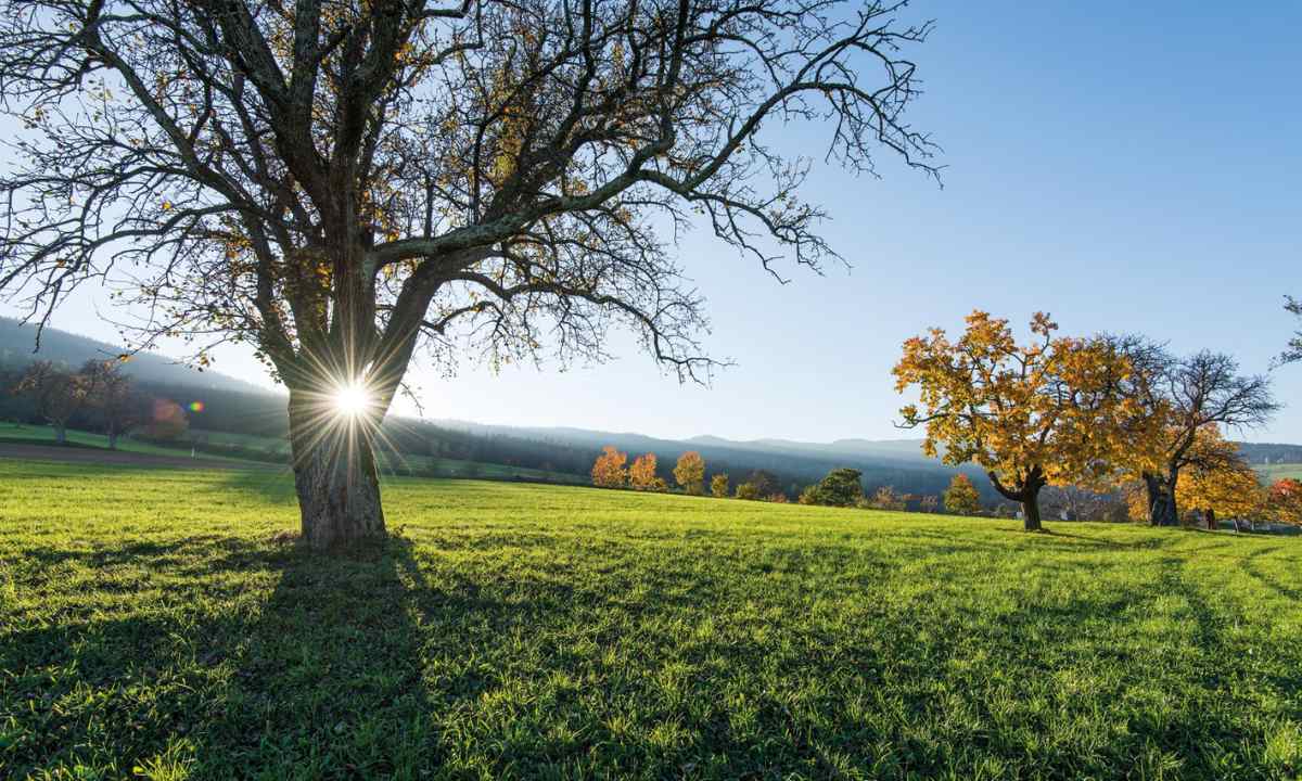 Retter Bio-Natur-Resort