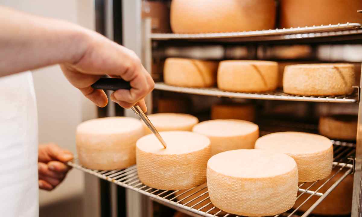 Bio Wollmilch Montafon