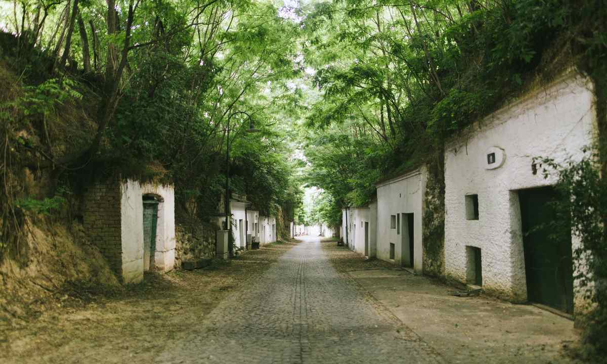 Weingut Ebner-Ebenauer