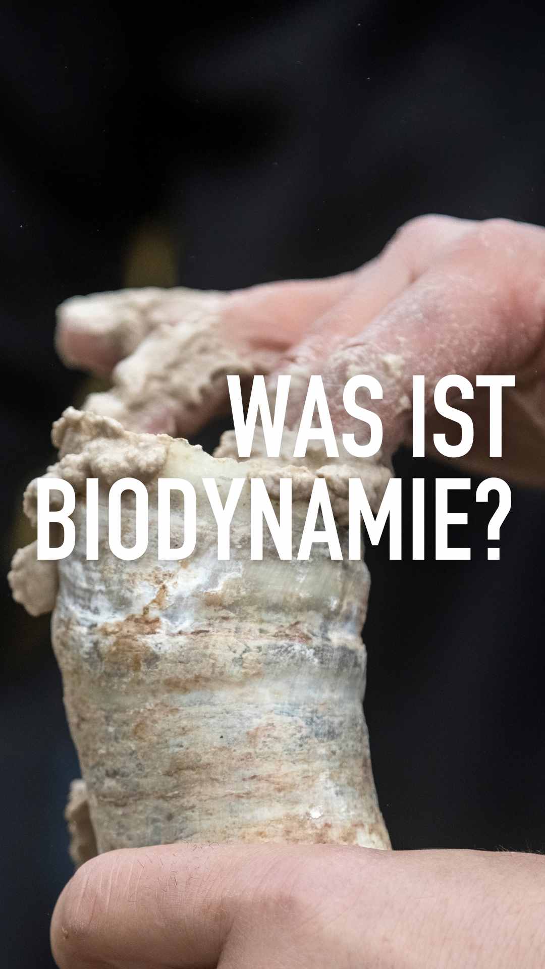 Was ist Biodynamie