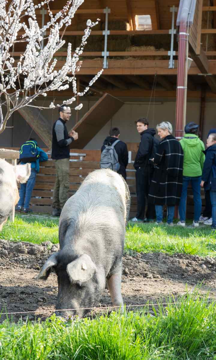 Biohof Maurer & Cafe Außergewöhnlich