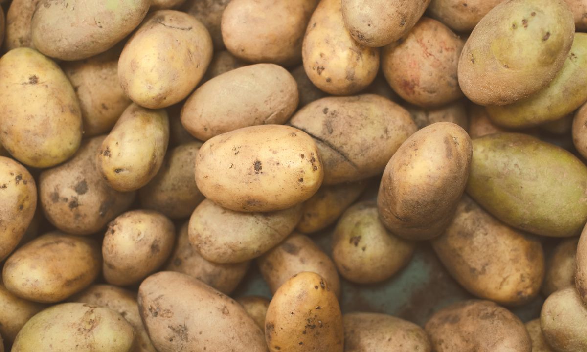 Kartoffel