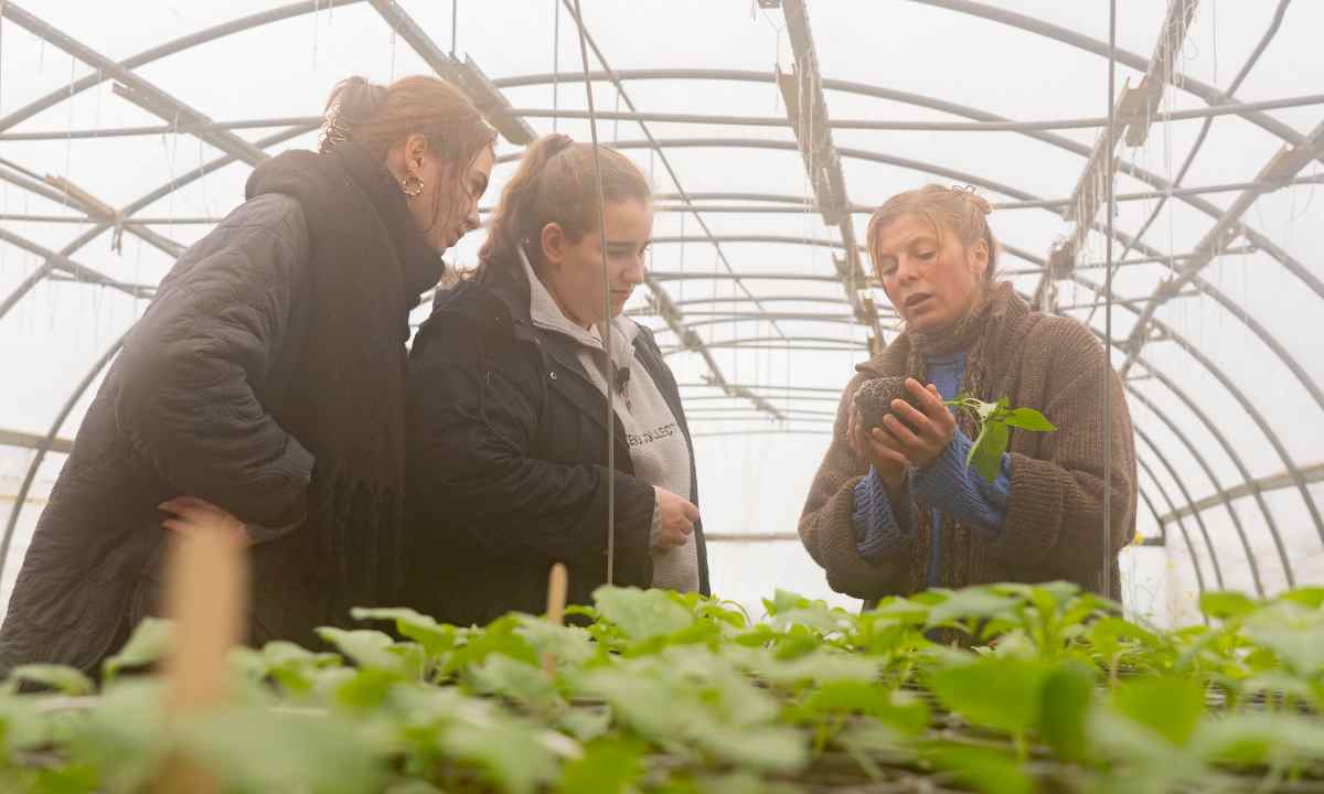 Rosa & Marie und dirndln am Feld